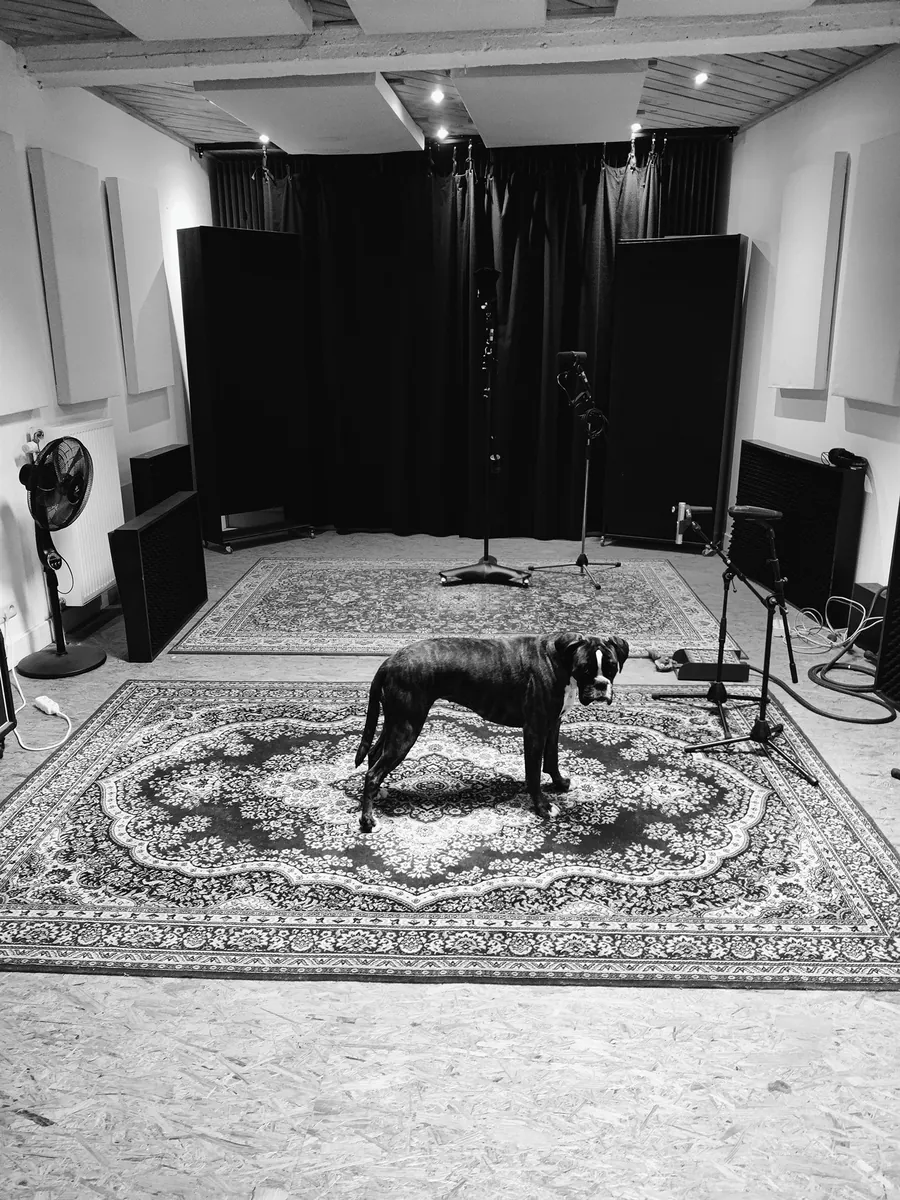 Studio Swamp